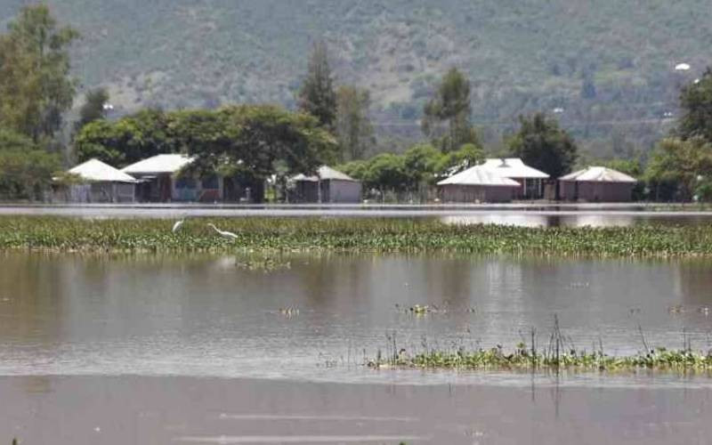 Civil society groups urge action ahead of El Nino rains