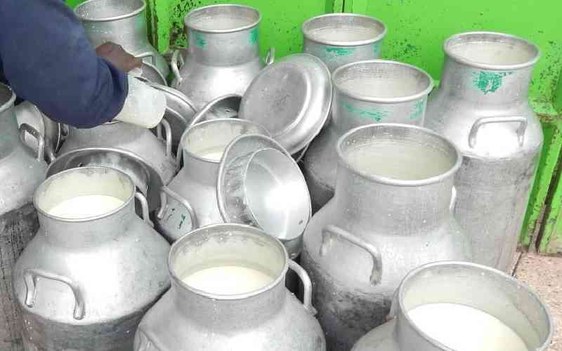 Let's fix perennial milk shortage using simple and local solutions