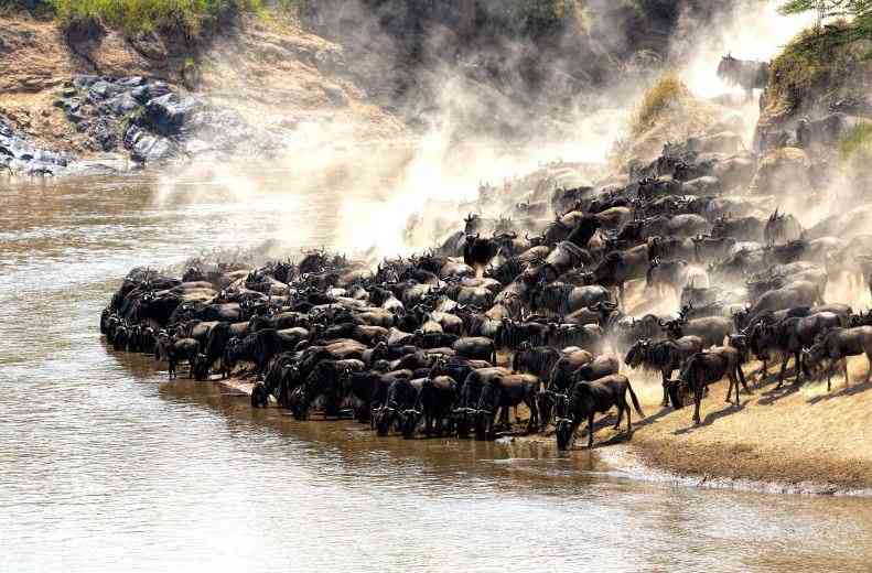 From moratorium to migration myths: Untangling Ritz Carlton Mara dispute