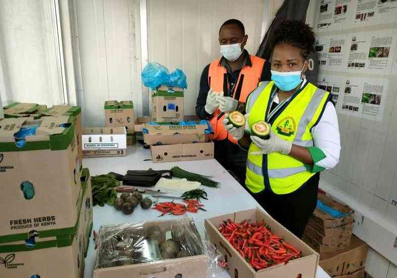 How single-window policy locks exporters out of global trade