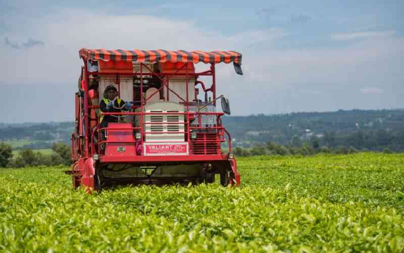 Tea firms' journey into mechanisation stuck in first gear