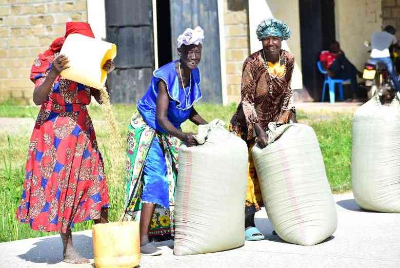 Kenya, Korea join hands to boost rice production
