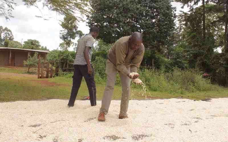 Maize farmers ask for better prices and more subsidies to make a profit