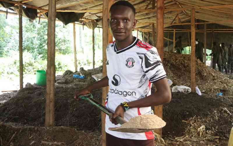 How rural youth are creating jobs, firms in agri-food value chains