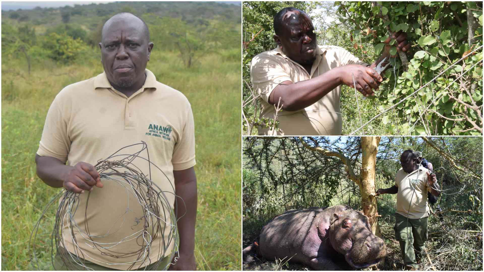 The snare slayer: How one man is saving Kenya's wildlife, one trap at a time