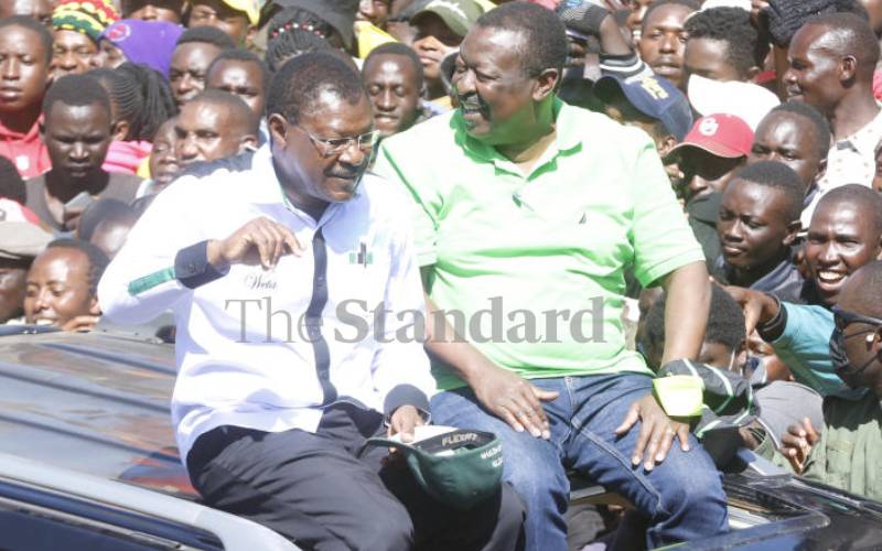 30pc slots 'pledge' is magic vote getter for Ruto in western