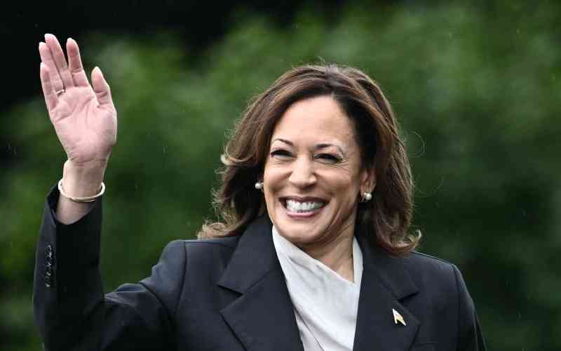 Democratic Party values that could have cost Kamala victory