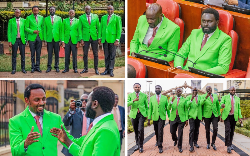 PHOTOS: DCP-allied senators don matching green blazers at Parliament after Ol-Kalou victory