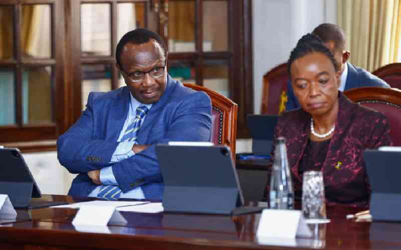 Court of Appeal and the mystery of presidential advisers' ruling