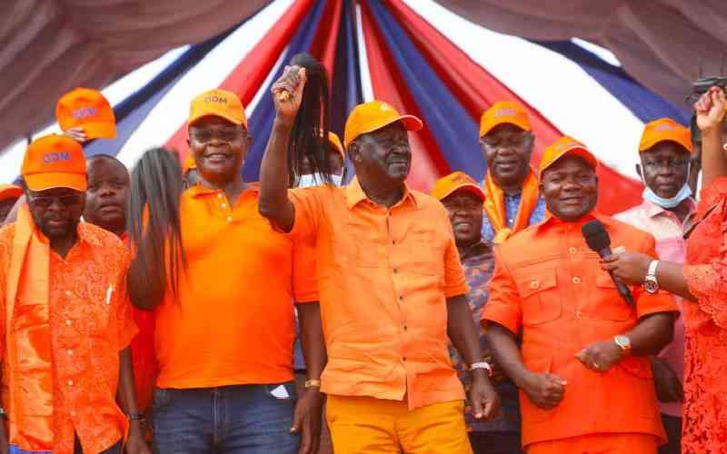 Western leaders vow to keep Orange party's fire burning