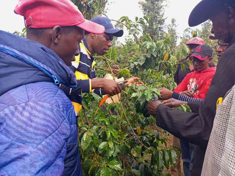 Cofee farmers protest delays in milling