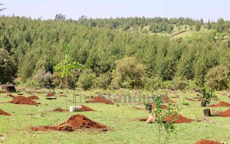 Kefri seed project seeks to attain 10 per cent forest cover