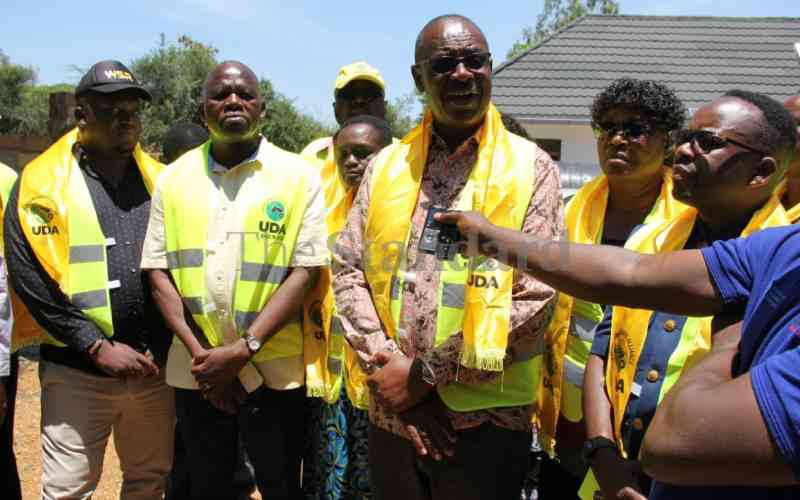 Officials vow to make UDA popular party in Homa Bay