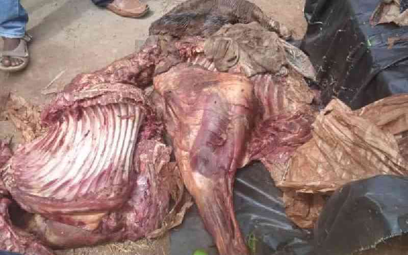 Six million donkeys slaughtered for Chinese medicine: charity