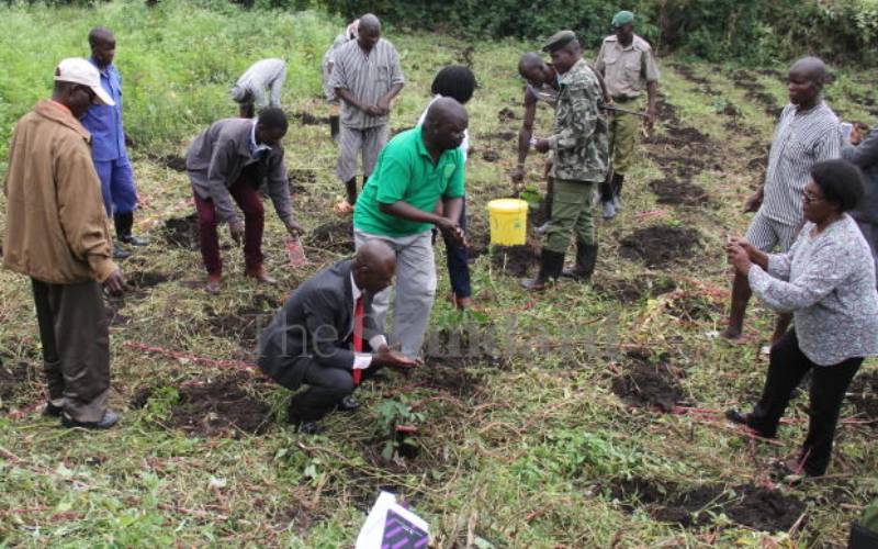 Inmates to benefit from tree planting programme