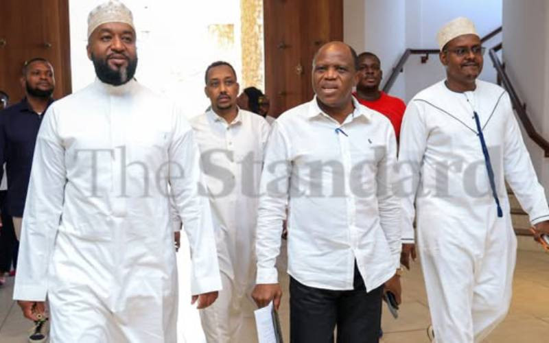 State to launch large-scale manganese mining in Tana River