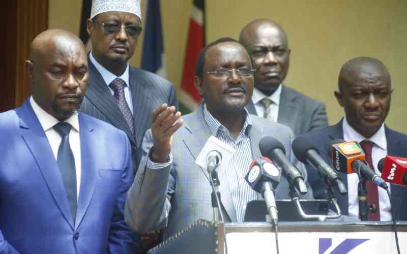 Kalonzo links Kitui clashes to plot by State to delay General Election