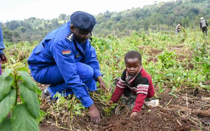 County governments key in fight against climate change