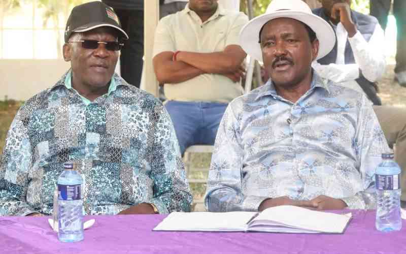 2007 polls: Why Kalonzo's secret meeting with Muthama matters