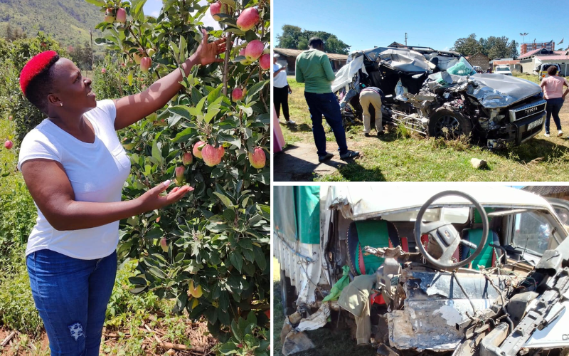 PHOTOS: Popular entrepreneur Catherine Wambugu involved in grisly road accident