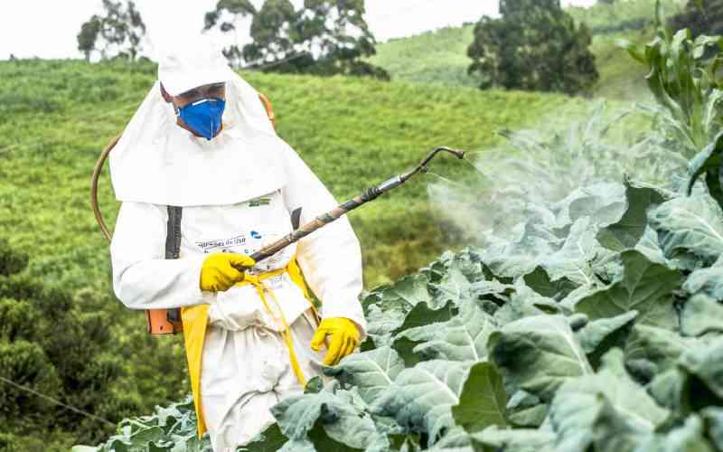 87 Kenyans seek redress as tests reveal toxic pesticides in bodies