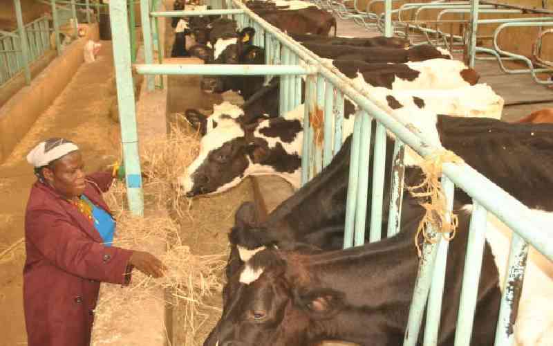 Governors back Livestock Sustainability Bill, want scope widened