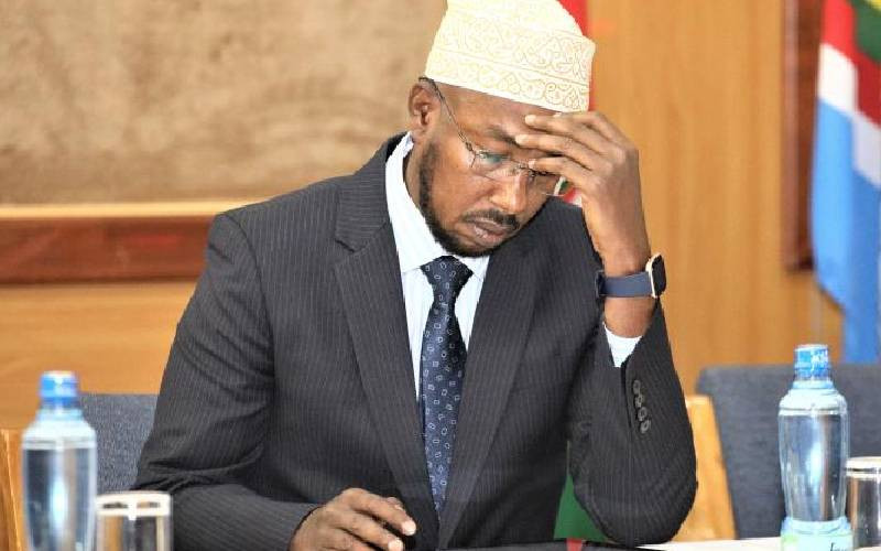 Election crisis that forced Marjan out of IEBC