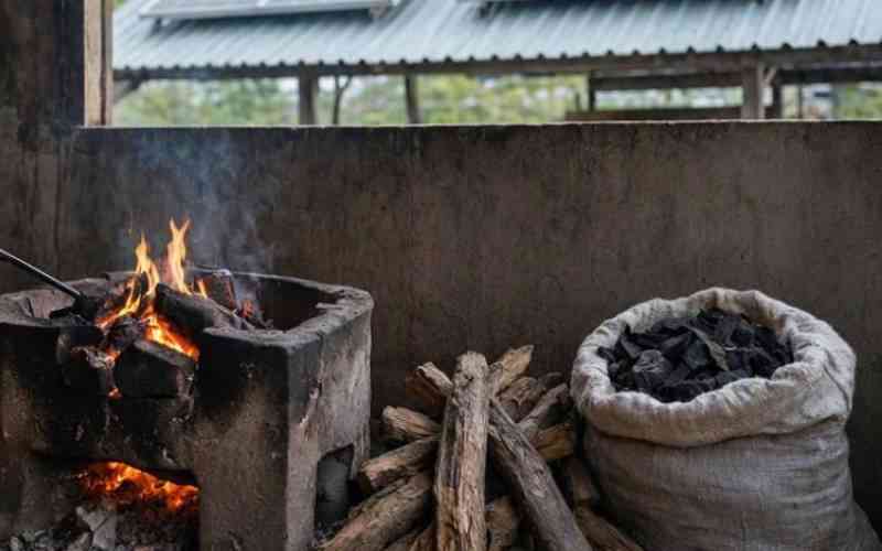 Firewood, charcoal dominate kitchens despite big investments in clean cooking