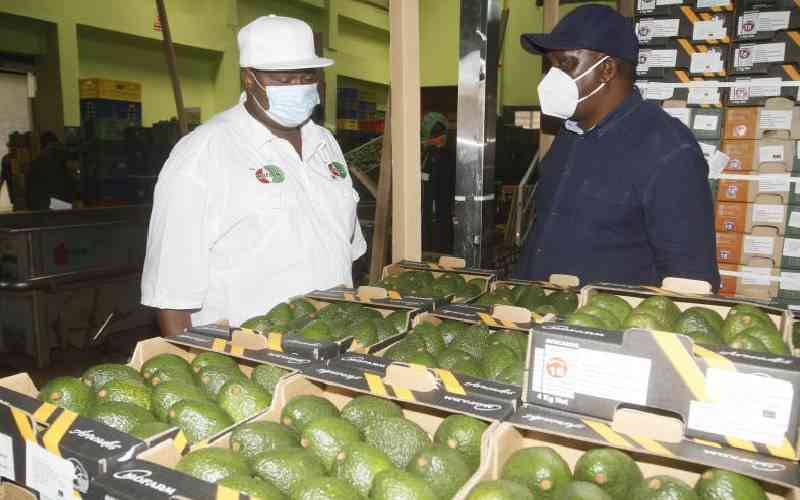 Listed agricultural firm inks deal to expand exports to UAE