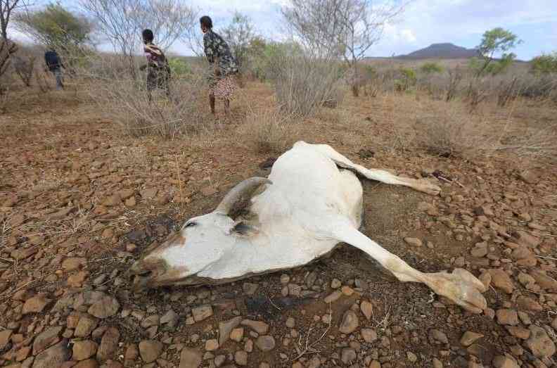 Drought Exodus: Desperate families flee to Uganda as crisis deepens in Kenya