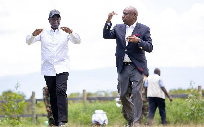 Ruto's opposition onslaught in by-elections shows why it matters
