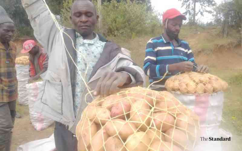 Pesticides regulator questions Nyandarua potato study