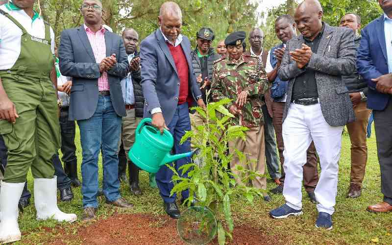 Government on course to meet EU deforestation regulations