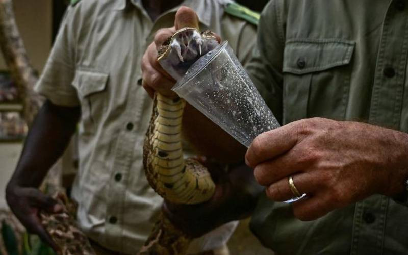 Curiosity, debate hot up as many look into snake farming for profit