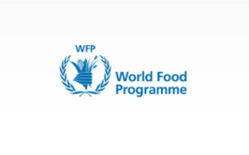 World Food Programme terminates all staff contracts in Yemen: UN official