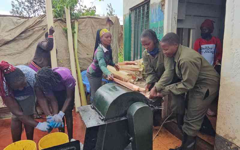 From rot to revenue: How farmers are redefining waste into wealth