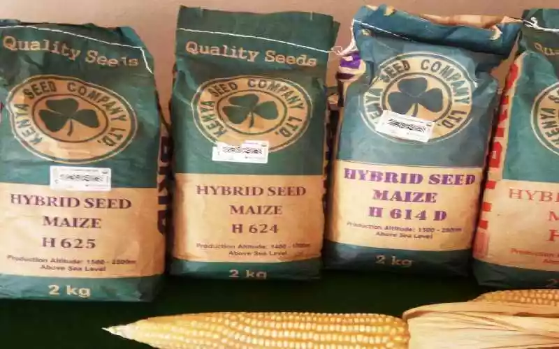 KSC lowers seed prices to enhance food security