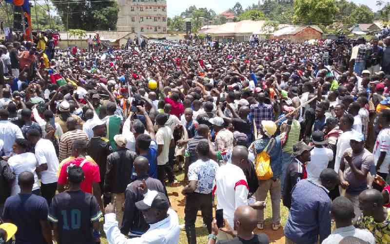 'Leave ODM to us', Babu Owino dares Oburu as chaos erupts at Kakamega rally