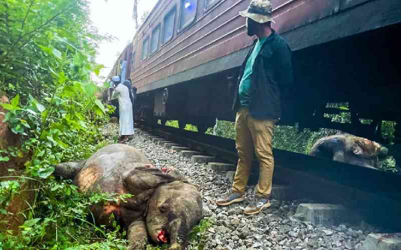 Sri Lanka passenger train kills six elephants