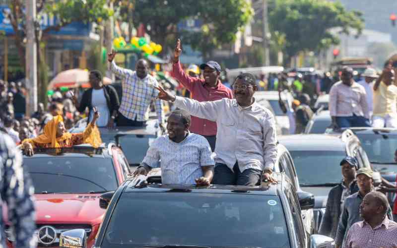Wetangula, Lusaka heckled off in home turf