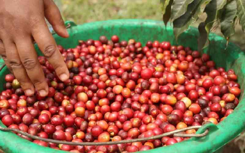 New coffee miller boon for farmers