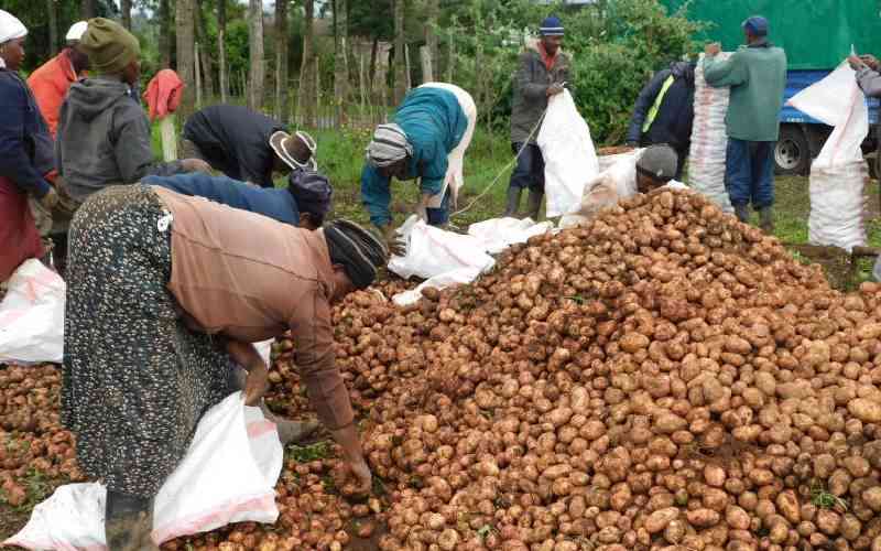 County government should turn Nyandarua into Kenya's food basket