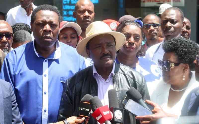 Kalonzo backs the Sh2.2 Trillion Dangote refinery project