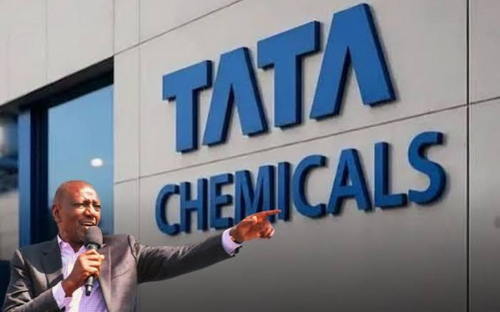 Ruto's Tata Chemicals tantrum spooks investors ahead of polls