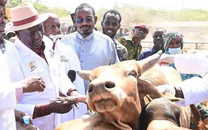 Kenya wins bid to host World Veterinary Congress, set to boost livestock economy
