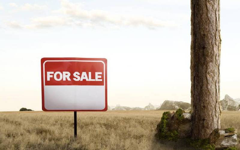 Kenya's coastal land market surges on lifestyle, remote work demand