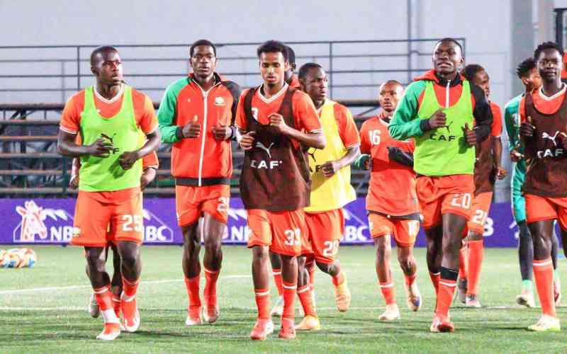 Government pay Harambee Stars allowances