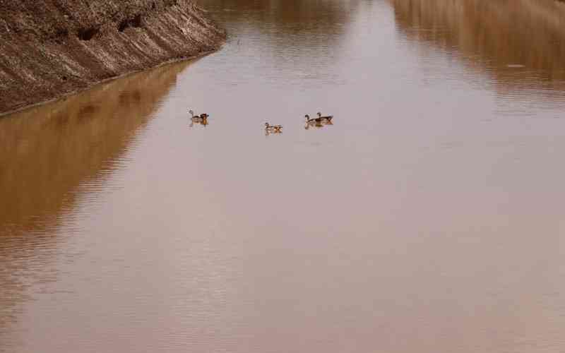 Philippines accuses China of poisoning disputed waters