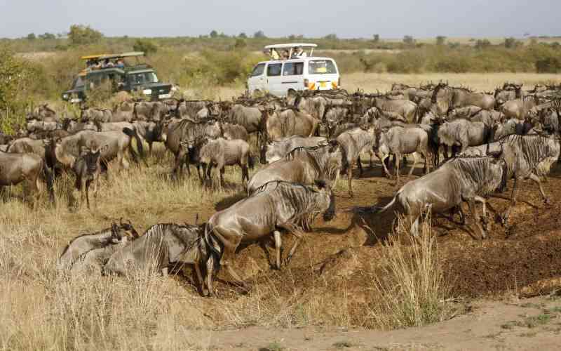 How to position Kenya as a key multi-experience destination