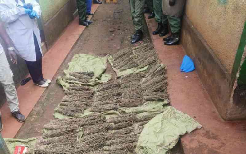 Ten people arrested as NACADA tightens grip on illicit trade